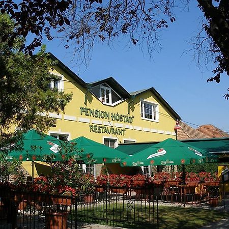 Gabcikovo Pension Hostad المظهر الخارجي الصورة